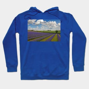 Lavender Field Purple Flowers Cotswolds England Hoodie